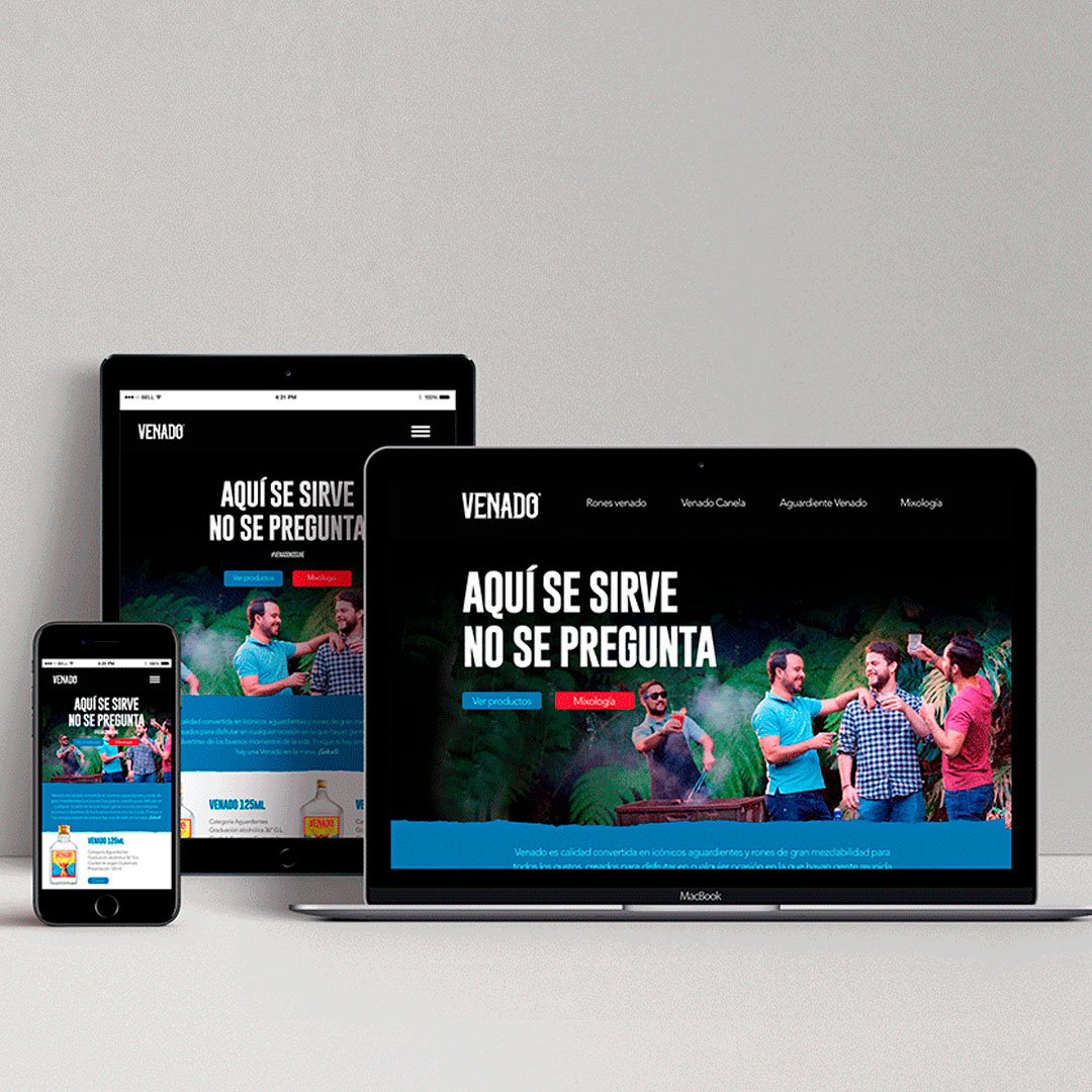 AGENCIA DE BRANDING UI UX EJEMPLO DIZALO