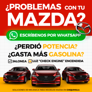 Creativos que detienen el scroll y generan ventas.